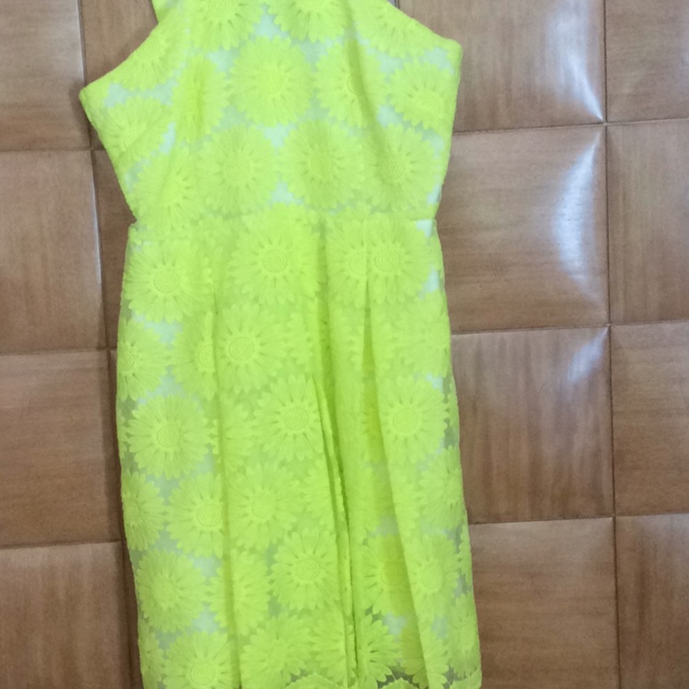 Cremieux brand new dress with tags